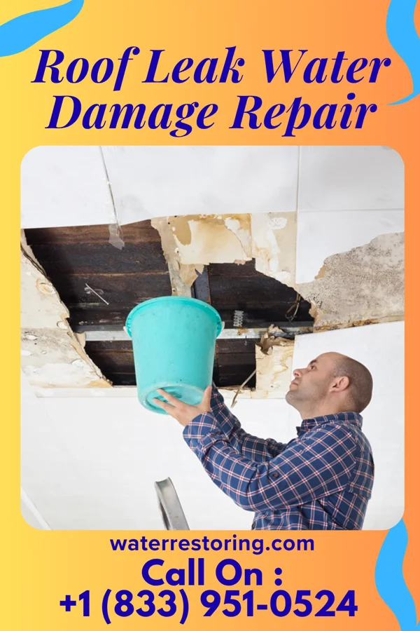 Roof Leak Water Damage Repair in Little Flock, AR